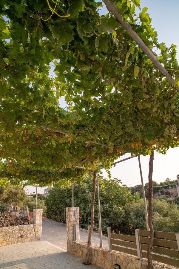 Hello Village Chania Sfakianalion المظهر الخارجي الصورة